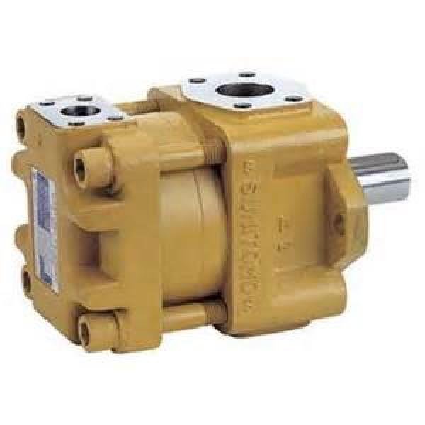 pump QT23 Series Gear Pump QT23-5E-A #1 image
