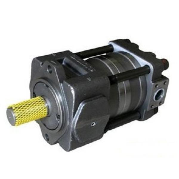 pump QT23 Series Gear Pump QT23-4E-A #1 image